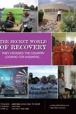 Watch The Secret World of Recovery Movie25