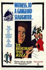 Watch Twelve Hours to Kill Movie25
