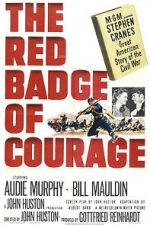 Watch The Red Badge of Courage Movie25