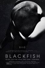 Watch Blackfish Movie25