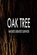 Watch Oak Tree Natures Greatest Survivor Movie25