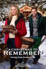 Watch A Christmas to Remember Movie25