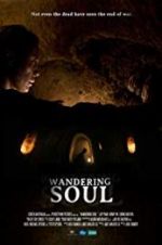 Watch Wandering Soul Movie25