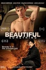 Watch Beautiful Something Movie25