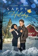 Watch Sappy Holiday Movie25