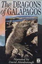 Watch The Dragons of Galapagos Movie25