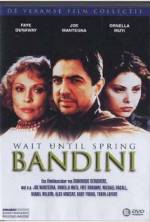 Watch Wait Until Spring, Bandini Movie25
