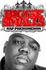 Watch Biggie Smalls Rap Phenomenon Movie25