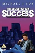 Watch The Secret of My Succe$s Movie25