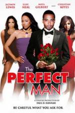 Watch The Perfect Man Movie25