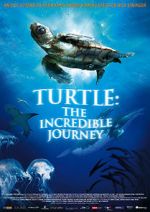 Watch Turtle: The Incredible Journey Movie25