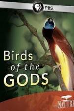 Watch Birds Of The Gods Movie25