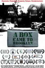 Watch A Box Came to Brooklyn Movie25