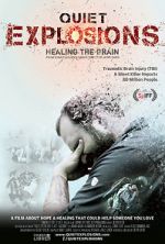Watch Quiet Explosions: Healing the Brain Movie25