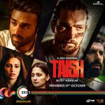 Watch Taish Movie25