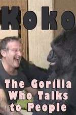 Watch Koko: The Gorilla Who Talks to People Movie25