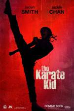 Watch The Karate Kid Movie25
