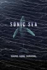 Watch Sonic Sea Movie25