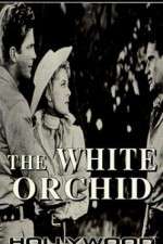 Watch The White Orchid Movie25
