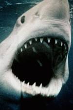 Watch Sharkmania: The Top 15 Biggest Baddest Bloodiest Bites Movie25