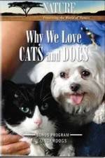 Watch Why We Love Cats And Dogs Movie25