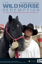 Watch The Wild Horse Redemption Movie25