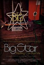 Watch Big Star: Nothing Can Hurt Me Movie25