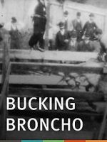Watch Bucking Broncho Movie25