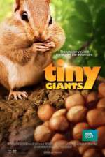 Watch Tiny Giants 3D Movie25