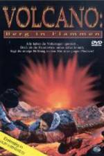 Watch Volcano: Fire on the Mountain Movie25