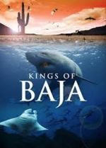 Watch Kings of Baja Movie25
