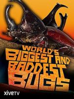 Watch World\'s Biggest and Baddest Bugs Movie25