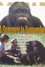 Watch A Summer to Remember Movie25