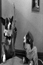 Watch The Two Barks Brothers Movie25