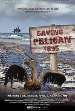 Watch Saving Pelican 895 (Short 2011) Movie25