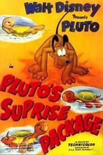 Watch Pluto\'s Surprise Package Movie25