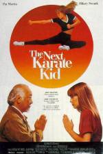 Watch The Next Karate Kid Movie25