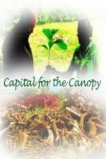 Watch Capital for the Canopy Movie25