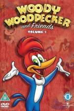 Watch Woody Woodpecker and His Friends Movie25