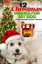 Watch 12 Christmas Wishes For My Dog Movie25