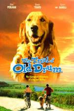 Watch The Trial of Old Drum Movie25