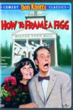 Watch How to Frame a Figg Movie25