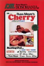 Watch Cherry Harry & Raquel Movie25