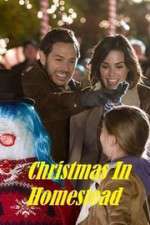 Watch Christmas in Homestead Movie25