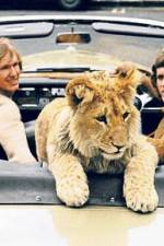 Watch The Lion Cub from Harrods Movie25