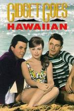 Watch Gidget Goes Hawaiian Movie25