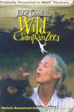 Watch Jane Goodall's Wild Chimpanzees Movie25