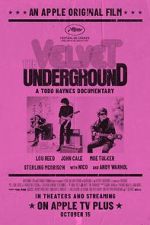 Watch The Velvet Underground Movie25
