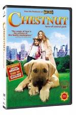 Watch Chestnut - Hero of Central Park Movie25