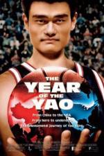 Watch The Year of the Yao Movie25